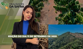 Realidades da Safra - Notícias Agrícolas