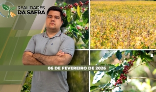 Realidades da Safra - Notícias Agrícolas