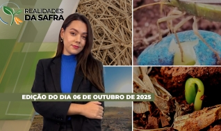 Realidades da Safra -  O programa completo