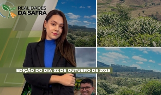 Realidades da Safra - Notícias Agrícolas