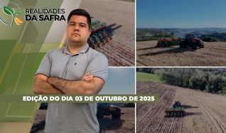 Realidades da Safra - Notícias Agrícolas