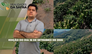 Realidades da Safra - Notícias Agrícolas