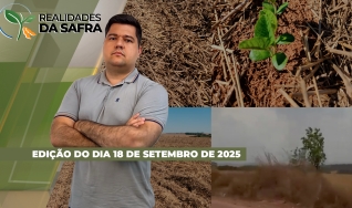 Realidades da Safra - Notícias Agrícolas