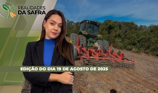 Realidades da Safra - Notícias Agrícolas