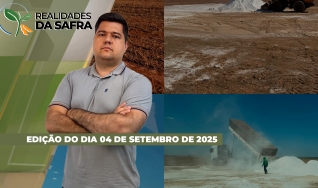 Realidades da Safra - Notícias Agrícolas
