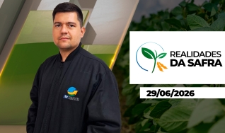 Realidades da Safra - Realidades da Safra