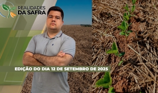 Realidades da Safra - Notícias Agrícolas