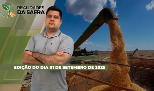 Realidades da Safra - Notícias Agrícolas