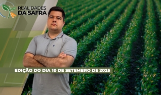 Realidades da Safra - Notícias Agrícolas