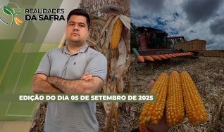 Realidades da Safra - Notícias Agrícolas