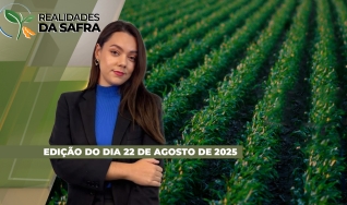 Realidades da Safra - Notícias Agrícolas