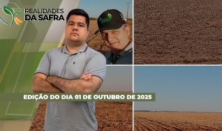 Realidades da Safra - Notícias Agrícolas