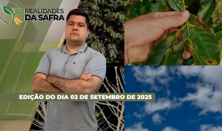 Realidades da Safra - Notícias Agrícolas