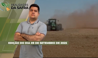 Realidades da Safra - Notícias Agrícolas