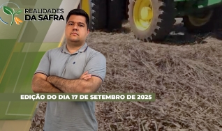 Realidades da Safra - Notícias Agrícolas