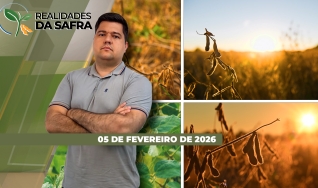 Realidades da Safra - Notícias Agrícolas
