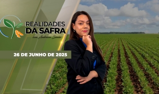 Realidades da Safra - Notícias Agrícolas