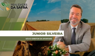 Junior Silveira - Sócio-diretor da Xportare