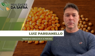 Luiz Parsianello - Trader na Cerealista R. N. Perusso