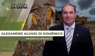 Alexandre Alvadi Di Domênico - Presidente da Aprosoja SC