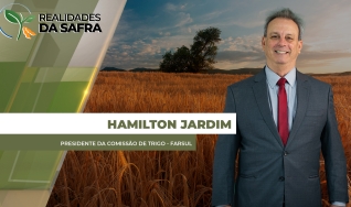 Hamilton Jardim - Presidente da Comissão de Trigo - Farsul