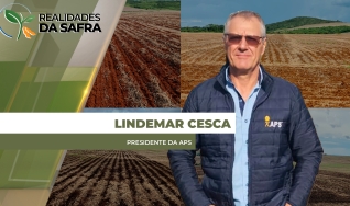 Lindemar Cesca - Presidente da  APS