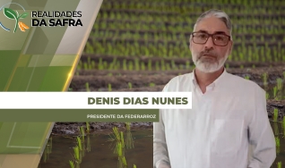 Denis Dias Nunes - Presidente da Federarroz