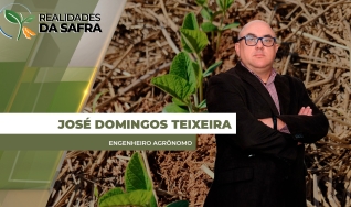 José Domingos Teixeira - Engenheiro Agrônomo