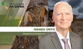 Ireneu Orth - Presidente da Aprosoja RS