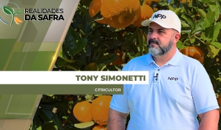 Tony Simonetti - Citricultor
