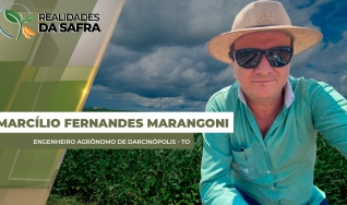 Marcílio Fernandes Marangoni - Engenheiro Agrônomo de Darcinópolis - TO