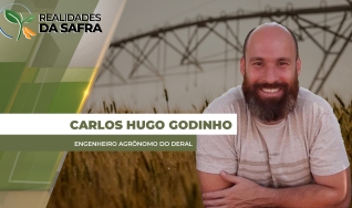 Carlos Hugo Godinho - Engenheiro Agrônomo do Deral