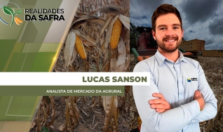 Lucas Sanson - Analista de Mercado da Agrural