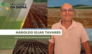 Haroldo Elias Tavares - Analista de Socioeconomia da Epagri/Cepa