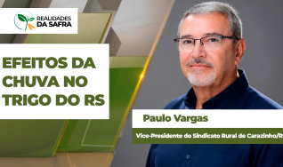 Paulo Vargas - Vice-Presidente do Sindicato Rural de Carazinho/RS