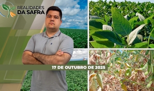 Realidades da Safra - Notícias Agrícolas