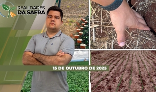 Realidades da Safra - Notícias Agrícolas