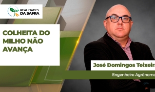 José Domingos Teixeira - Engenheiro Agrônomo