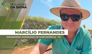Marcílio Fernandes Marangoni - Engenheiro Agrônomo de Darcinópolis - TO