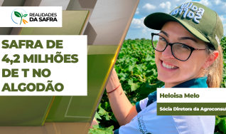 Heloisa Melo - Sócia Diretora da Agroconsult