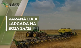 Edmar Gervásio - Analista de Milho do Deral