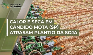 Antônio José Tondato - Produtor Rural - Cândido Mota/SP