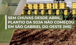 Vilson Brusamarello - Produtor Rural e Consultor em Agronegócio