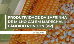 Edio Luiz Chapla - Presidente do Sind. Rural de Marechal Cândido Rondon/PR
