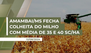 Rodrigo Angelo Lorenzetti - Presidente do Sind. Rural de Amambai/MS