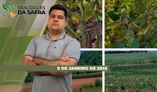 Realidades da Safra
