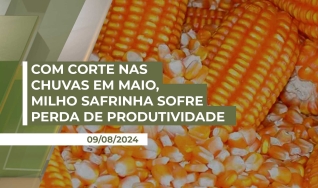 Silvésio de Oliveira - Produtor Rural da região de Tapurah/MT