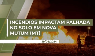 Paulo Zen - Presidente do Sindicato Rural de Nova Mutum/MT