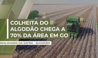 Carlos Alberto Moresco - Vice-Presidente da AGOPA