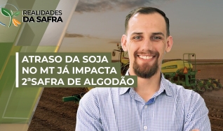 Cleiton Gauer - Superintendente do Imea